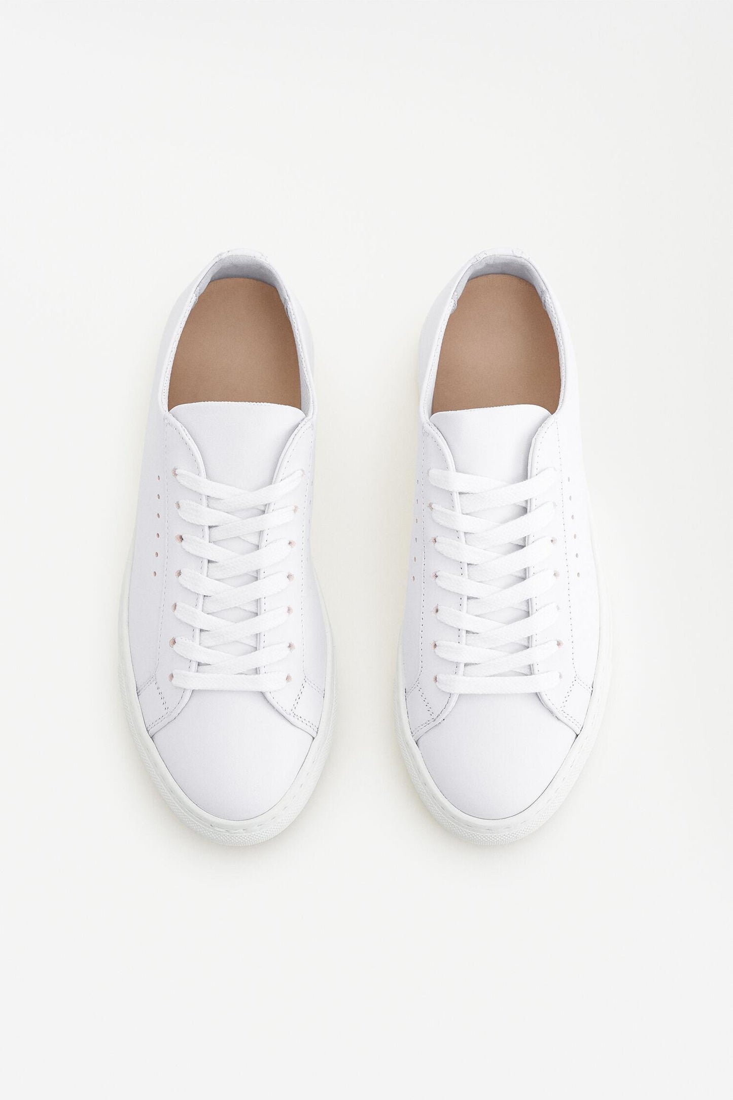 Kate low sneakers White