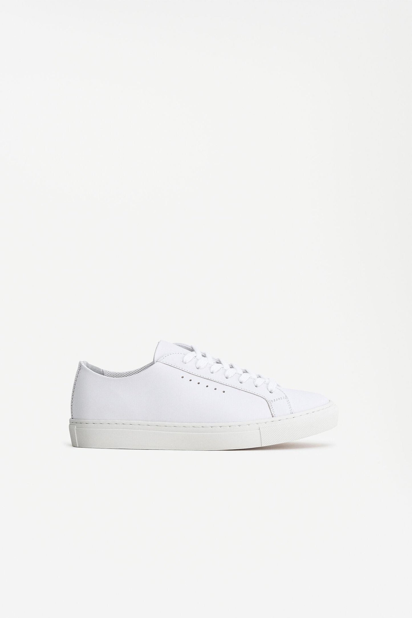 Kate low sneakers White