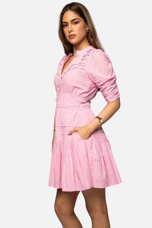 Fabienne Mini Dress La Rosa