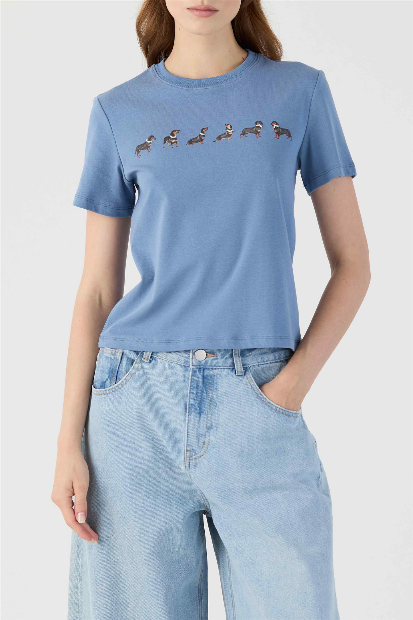 Dachshund Tee Celeste