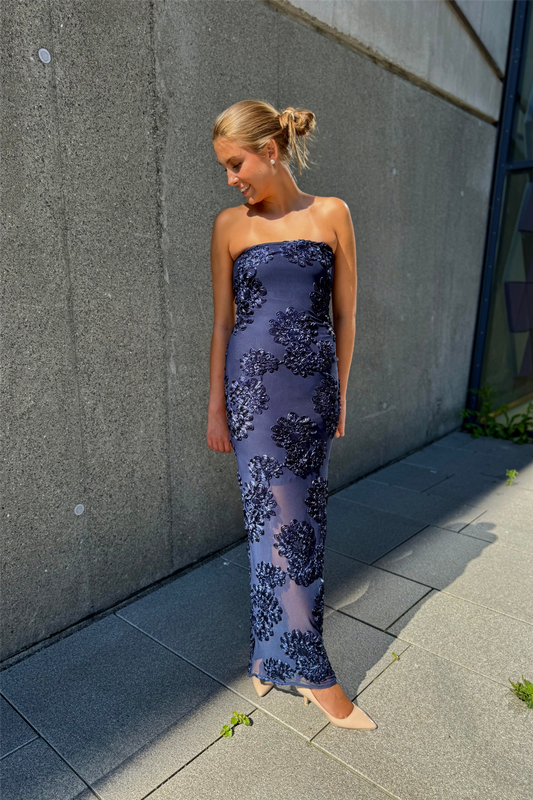 3D Mesh Maxi Dress Blueprint
