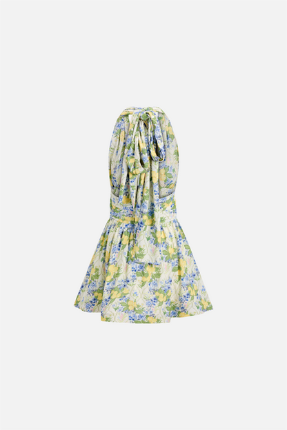Liora Dress Lemon Aop.