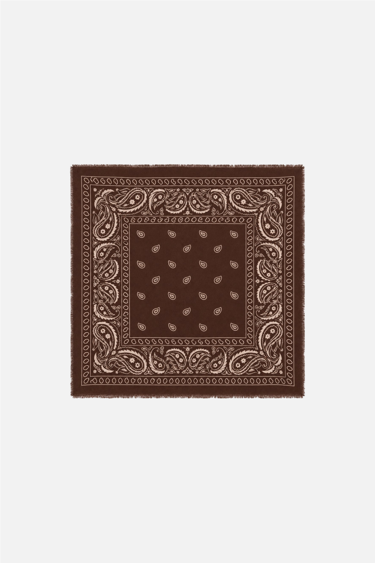 Soft Paisley Scarf Choco.