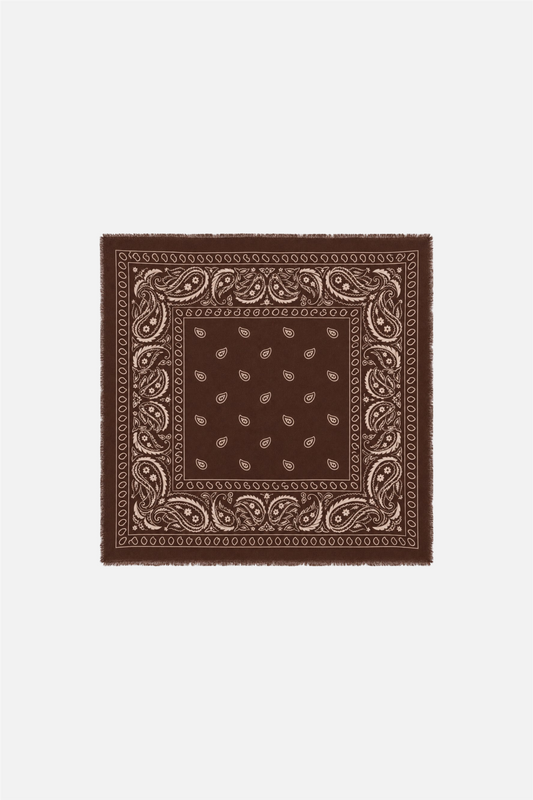 Soft Paisley Scarf Choco.