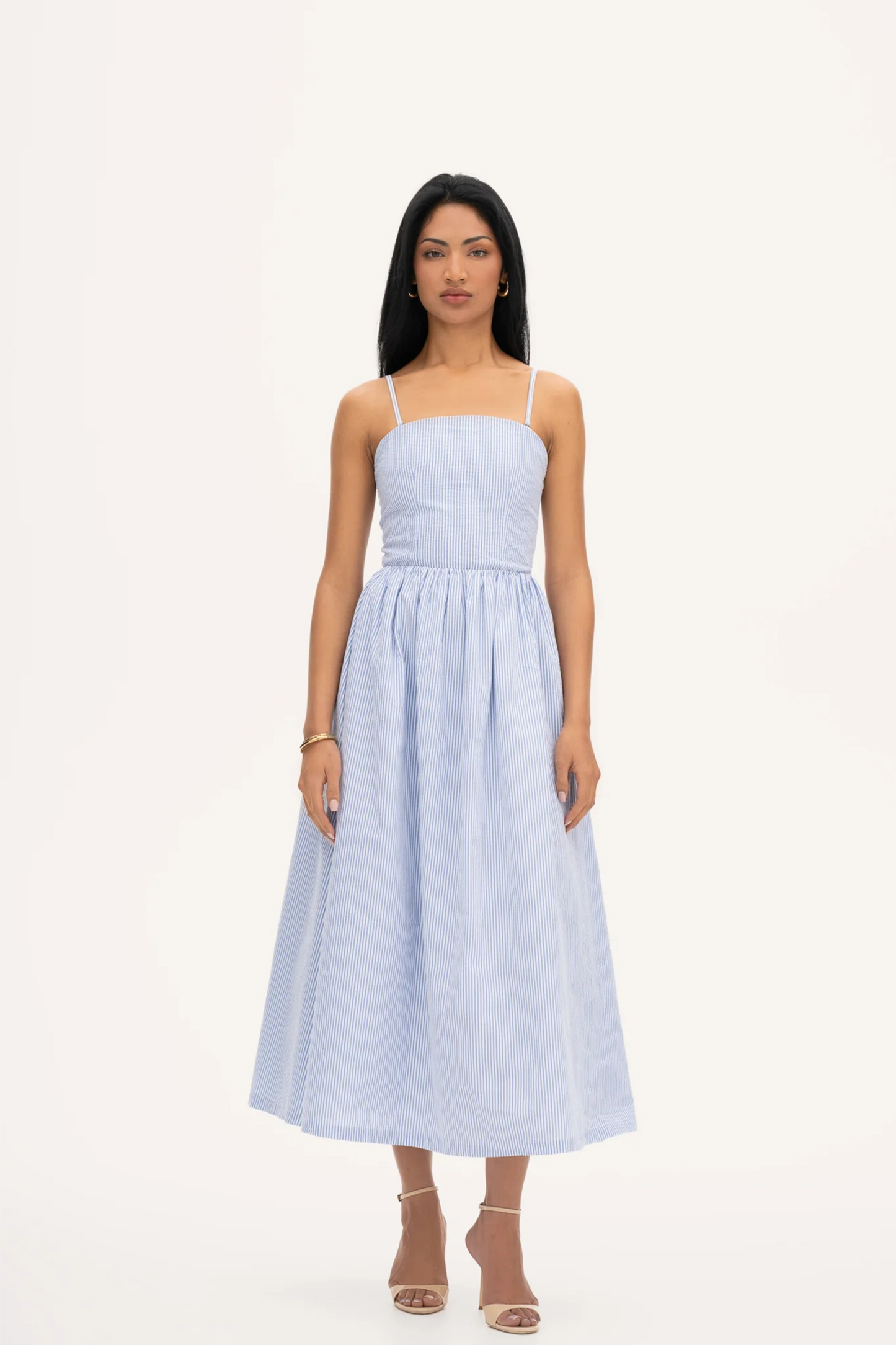 Rose Dress Stripe Blue Stripe