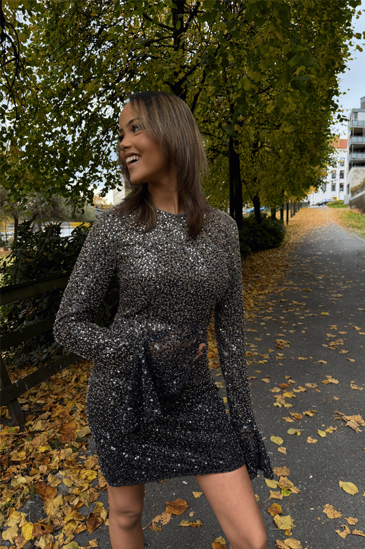 Beaded Ls Mini Dress Incense Comb.