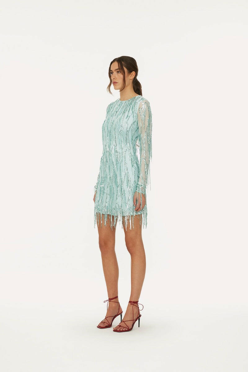 Long Sleeve Mini Dress Clearwater.