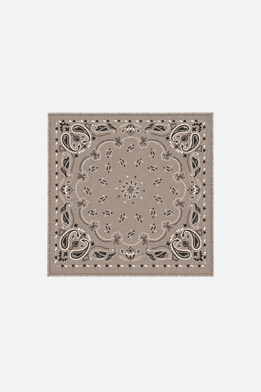 Heritage Paisley Scarf Taupe