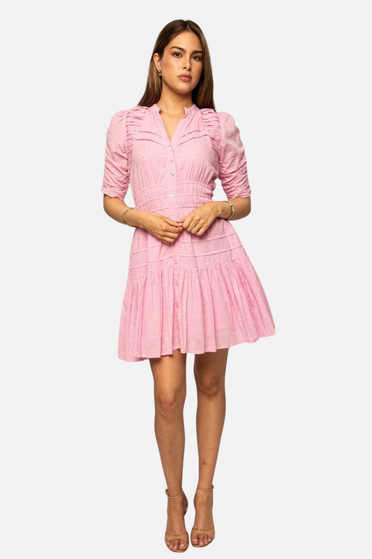 Fabienne Mini Dress La Rosa