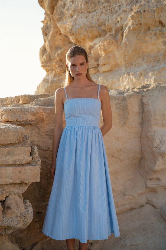 Rose Dress Stripe Blue Stripe