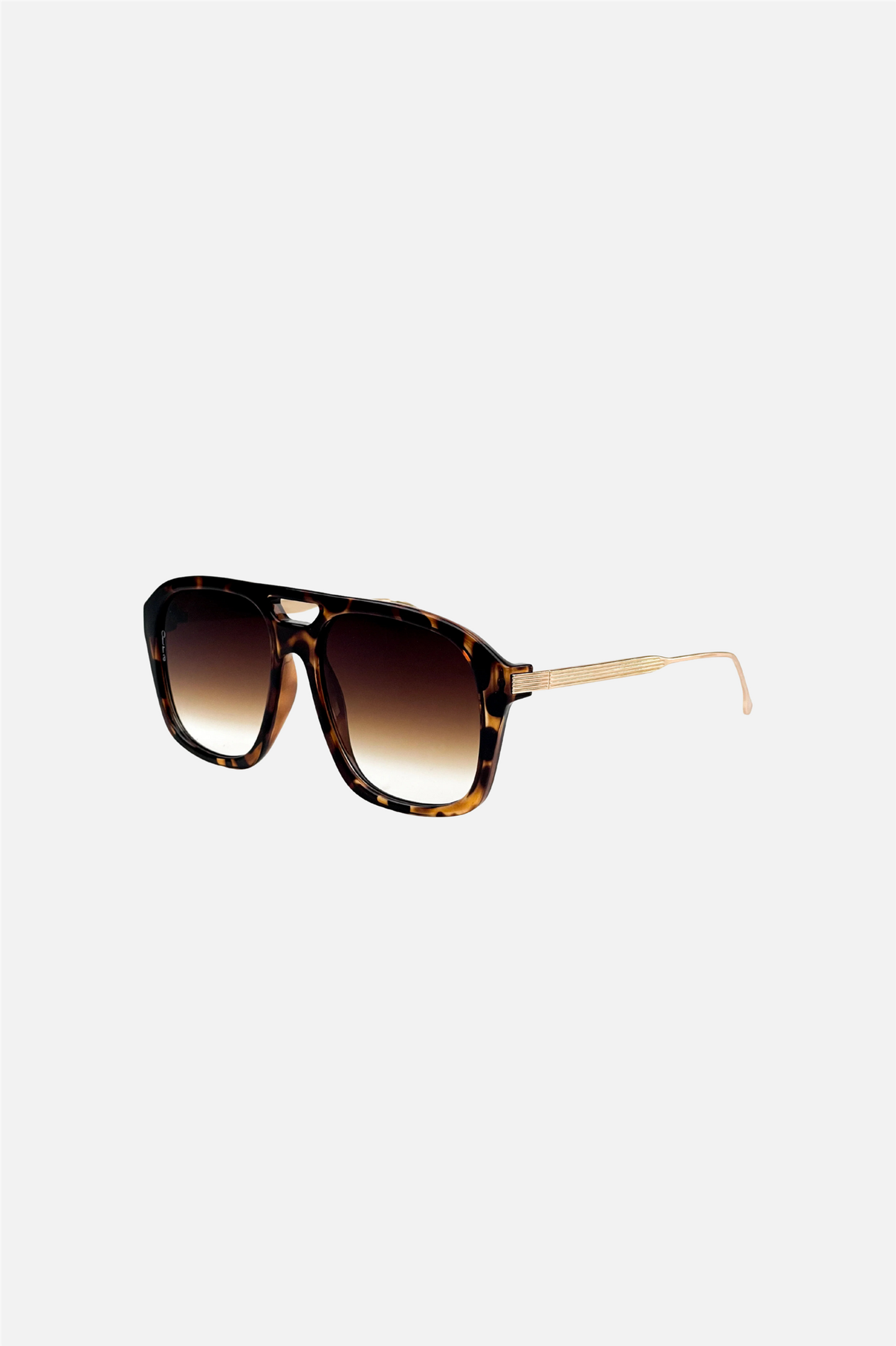 Reina Oversized Tortoiseshell