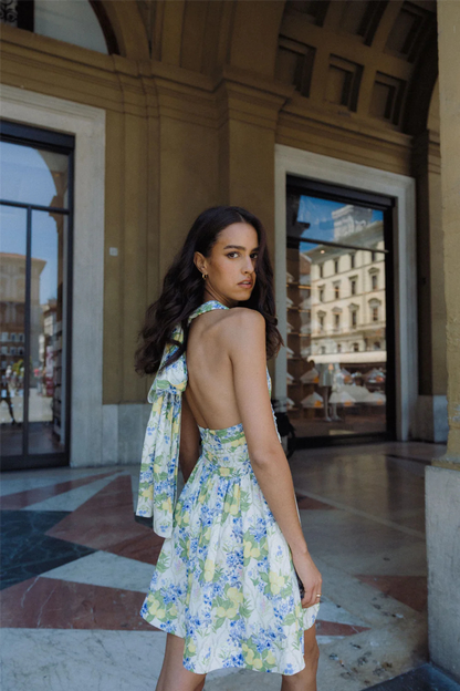 Liora Dress Lemon Aop.