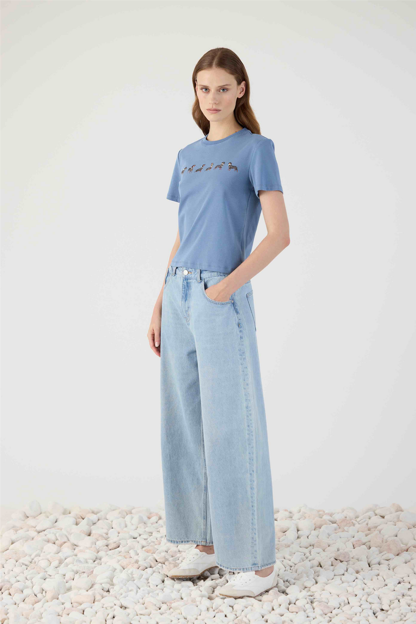 Dachshund Tee Celeste