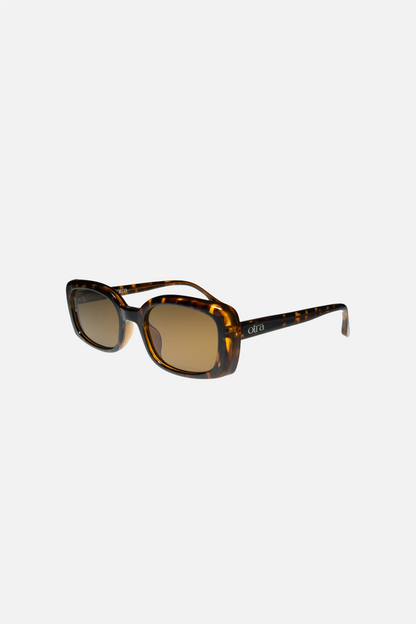 Daisy Tort/Brown
