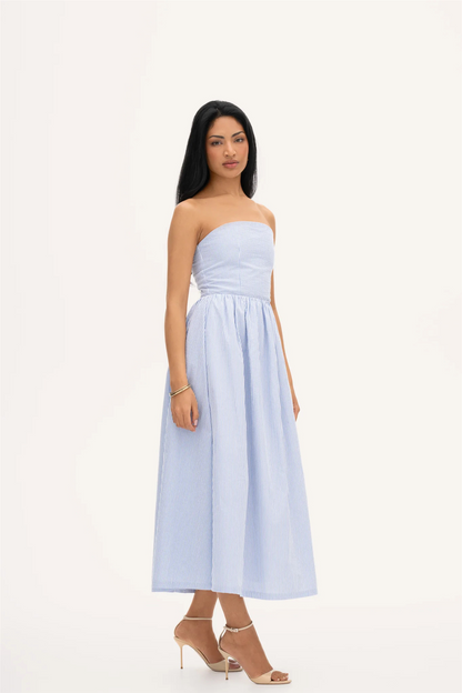 Rose Dress Stripe Blue Stripe